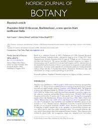 Image result for Pouzolzia bracteosa