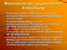 Check spelling or type a new query. Entwicklung Forderung Und Lernen In Den Ersten Drei Lebensjahren Ppt Herunterladen