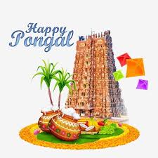 Pongal Graphic Pongal Vector Pongal Greetings Pongal Greetings In Tamil Pongal Wishes In English Pongal Images Png Transparent Clipart Image And Psd File For In 2020 Happy Pongal Photoshop Backgrounds Free