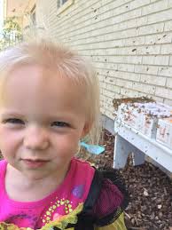 Howell's Honey Farm added a new photo.