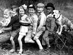 When alfalfa starts to question his devotion to the club's principles after falling for the beautiful. Famous Dogs In History Petey The Little Rascals Dog