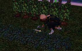 The Sims 3 Gardener The Perfect Garden Lifetime Wish