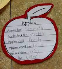 For The Love Of First Grade Applepalooza Part 1 Apple Lessons Apple Kindergarten Apple Theme