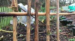 10+ simple bamboo fence ideas for your garden. 3 Cheap Fence Ideas
