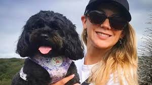 Dog owners from China sacrifice time and money to move their pets, as  Australia's strict import policy starts to bite