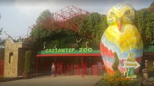 Doğal bir plato üzerine kurulu alanda, ağaçların, çiçeklerin peyzaj düzenlemelerin göze hitap eden bir etkisi bulunuyor. Gaziantep Hayvanat Bahcesi Acik Mi Kapali Mi Sonhaberler