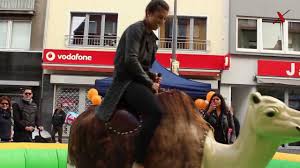 This better distributes your weight along the humps, saving your tailbone from unnecessary pain. Camel Rodeo Mieten