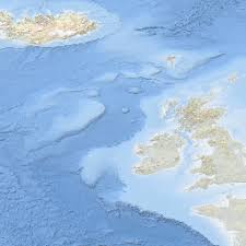 Image result for Cyclocotyla