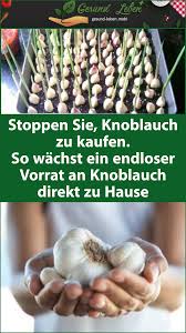 Stoppen Sie Knoblauch Zu Kaufen So Wachst Ein Endloser Vorrat An Knoblauch Direkt Zu Hause Food Life Hacks Chicken