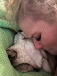 My brother Ernest Alexander LHS '66 passed Monday Sept 11 in the Los Angles  area after a serious motorcycle accident