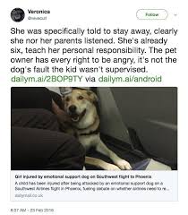 Find out more about our pet policy and traveling with pets here. Southwest Airlines Child Passenger Blamed After Emotional Support Dog Bites Business Insider