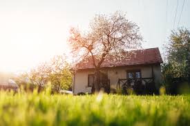 Whether it's a commercial or residential property, we can help. The Battle Of The Best Lawn Care Companies In Memphis Who S The Real Champ