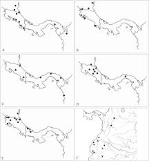 Image result for Dichapetalaceae