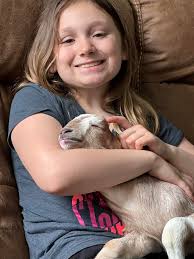 Red dapple buck kid. Was a bottle baby super friendly. Weaned and ready to  go. Artesia, NM