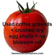 Mixing coffee grounds with wood ash, shredded leaves and lime creates a rich compost coffee grounds and tomatoes can offer you many choices to save money thanks to 16 active results. Pin On Gardening Inside Out
