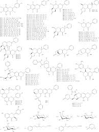 Image result for Cryptocarya liebertiana