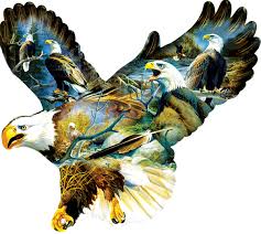 Need a cozy indoor project to keep you busy? Birds Of A Feather 1000 Pc Jigsaw Puzzle By Sunsout Toys Games Jigsaw Puzzles