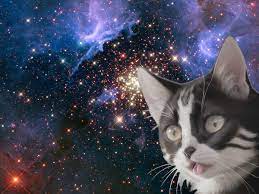 宇宙猫 - Wikipedia