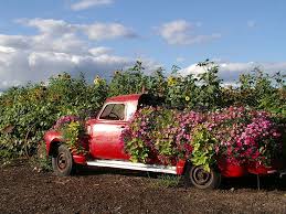 Check spelling or type a new query. Sauvie Island Farm Truck Planter Photo By Linda Andrews Unique Gardens Planters Garden Photos