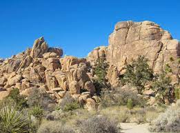 We did not find results for: Hike The Hidden Valley Trail In Joshua Tree National Park Roadtripping California