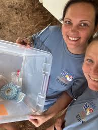 Adding a peewee class to the state show