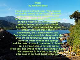 Rose from a man's hand. Water Poems