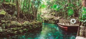 ¡ven a xcaret y vive méxico a través de sus tradiciones, naturaleza e historia! Why Xcaret Eco Park Is A Must Visit For 2020 Ecotourism Attraction