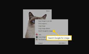 How To Use Facebook Image Search