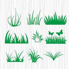 Download Grass Svg Cut File Free