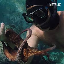 Netflix and third parties use cookies and similar technologies on this website to collect information about your browsing activities which we netflix supports the digital advertising alliance principles. Netflix My Octopus Teacher Trailer Netflix Facebook