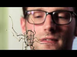 Art Zone with Nancy Guppy: From the AZ Vault: Casey Curran