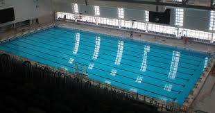 Pin On Colt Projects