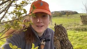 Our Northern Hawk Owl Sindri is now two and a half months old. Here she is  chatting away after her training session. In the wild, Hawk Owls hunt  during...