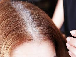 Meches destockplus est la place de marché b2b destockage et liquidation. Cheveux Gris 9 Astuces De Coloristes Pour Grisonner En Beaute