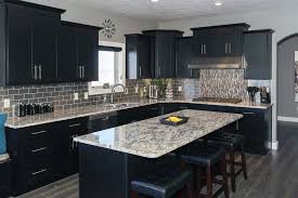 beautiful black kitchen cabinets