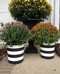 Black And White Striped Outdoor Planters All Things Black And White White Planters White Flower Pot Diy Planters