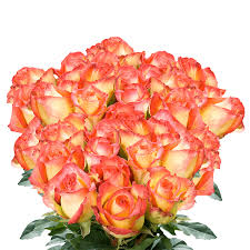 Roses are red, pickles are green. Buy Yellow And Red Roses Cheap Online Globalrose