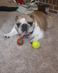 Clearwooter 2024🌝 Good times, Good friends, Good weather!! Blessed :-)