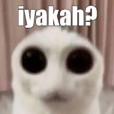 Bjir amat | Memes, Cats, Goofy
