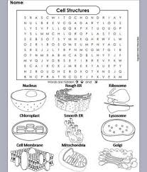 Plant And Animal Cells And Organelles Review Worksheet Word Search Cell Structure Plant And Animal Cells Animal Cell