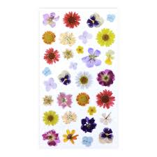 Check spelling or type a new query. Dried Flower Stickers By Recollections Michaels