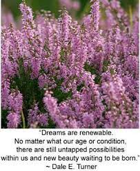 Celtic Meaning Of The Heather Celtic Meaning Heather Flower Heather Meaning