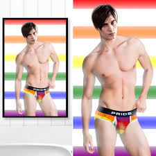 Leon Kennedy Gay Pride Pin-up Art Print • 11x17in Poster • Rainbow • Sexy •  Thirst Trap • Smut - Etsy Denmark