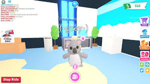 Located in several places around adoption island. Adopt Me Lover On Twitter Who Want S To Offer My R Kit R Koala Sloth Nfr Bee User Kirsten Beastmode324