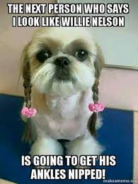 Willie Nelson As A Dog Funny Dog Memes Willie Nelson Funny Animals