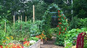 Garden planters & plant pots. Vertical Vegetable Gardening Pole Bean Tunnels