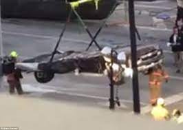 Bodies, cars still pinned by deadly miami bridge collapse this article is from mar 16, 2018 after searching the site with sniffer dogs, police determined late on thursday that no one would be. Rescuers Remove Vehicles Flattened After A Miami Bridge Collapse Daily Mail Online