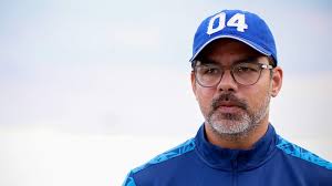 Ex-Schalker David Wagner wird Trainer bei Young Boys Bern