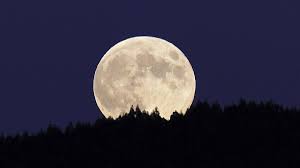 Un registro personalizado en online star register es uno de los regalos más. Calendario Lunar Consulta Las Fases De La Luna En Diciembre 2020