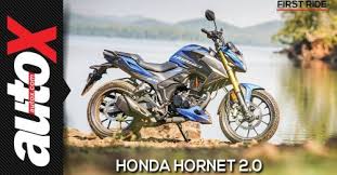 Updated 2021 Honda Msx125 Grom Breaks Cover Autox